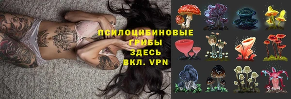 соль курить ск Богородск