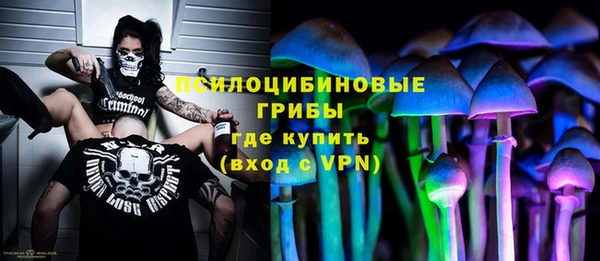 метадон Белокуриха